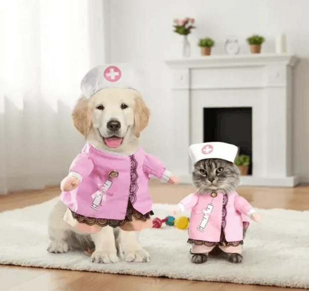 Disfraz De Enfermera Para Perros Y Gatos (halloween)